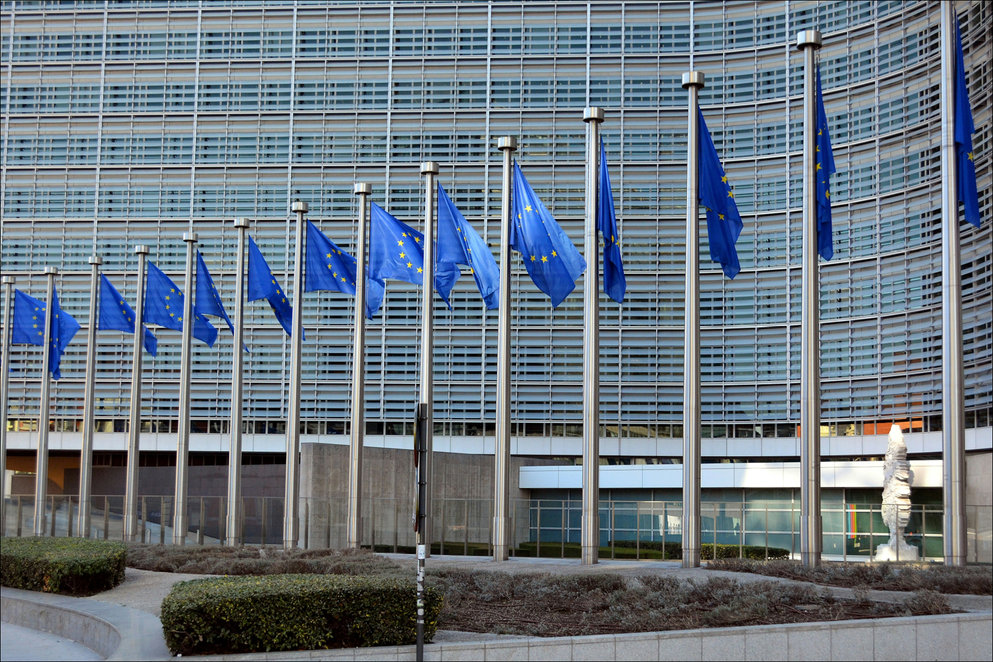 row of europen flags in front of a building