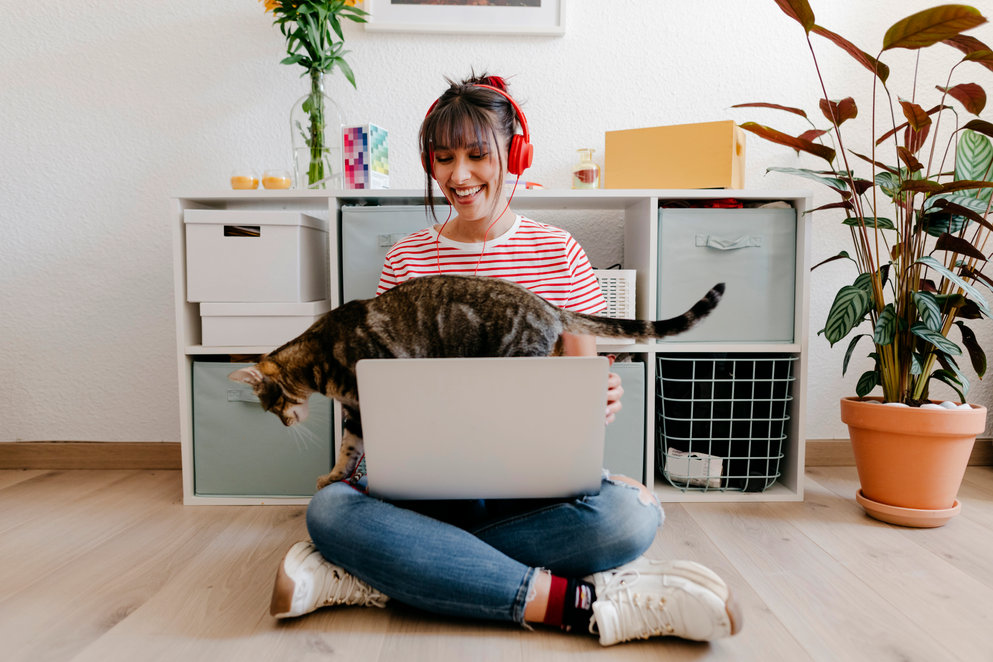 Kvinder med kat og computer