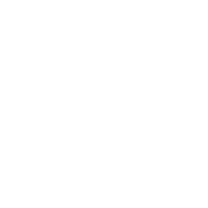 Selecto S logo