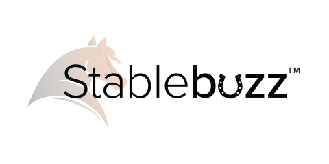 logo Stablebuzz